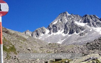 Trekking – Sentiero 1 Adamello